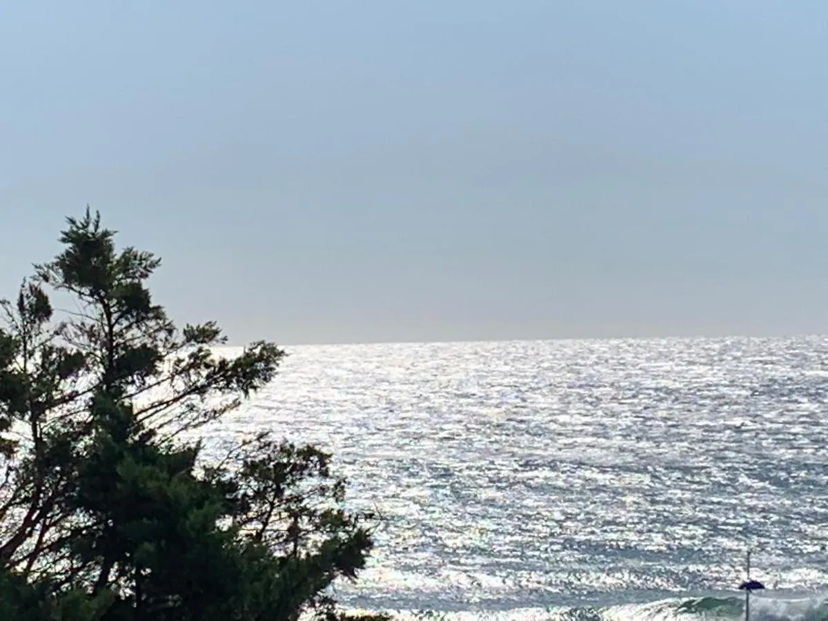 Magnifique Vue Mer Sausset-les-Pins